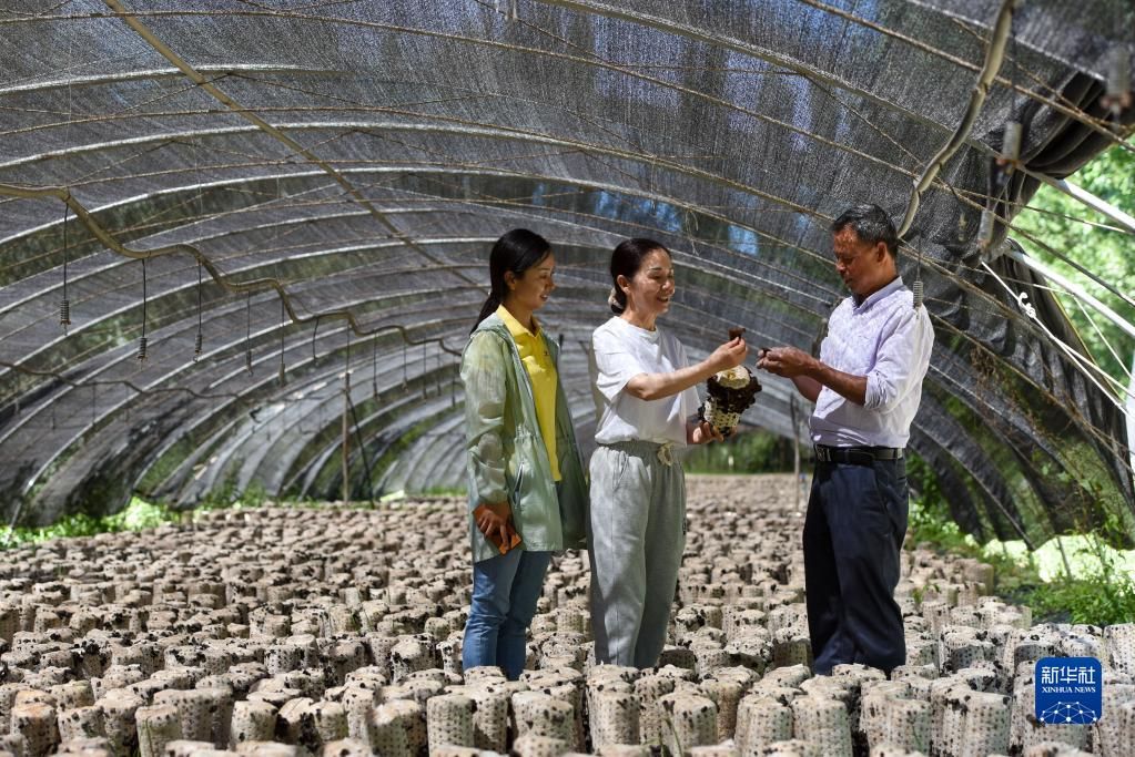 咬定青山不放松——党的十九大以来以习近平同志为核心的党中央贯彻执行中央八项规定、推进作风建设综述