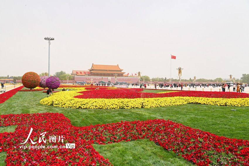 北京天安门广场两侧绿地花卉布置完成迎“五一”【5】