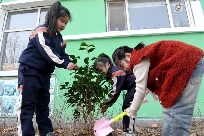 河北广平：萌娃植树添新绿