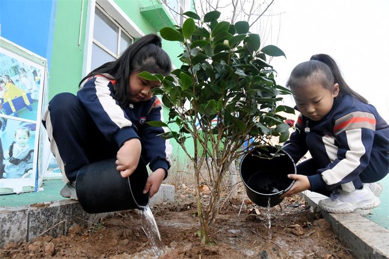 河北广平：萌娃植树添新绿