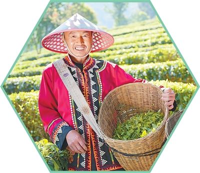 为世界生态文明发展贡献中国智慧（权威论坛）