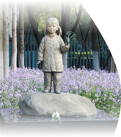 听,“紫金草”唱出的和平之声(铭记历史 开创未来)