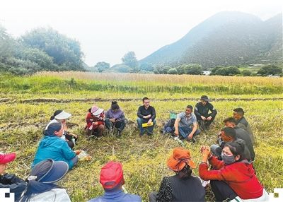 二〇一一年以来,西藏累计选派近三十万名党员干部扎根村(居)一线——  竞相绽放的格桑花(前沿观察)