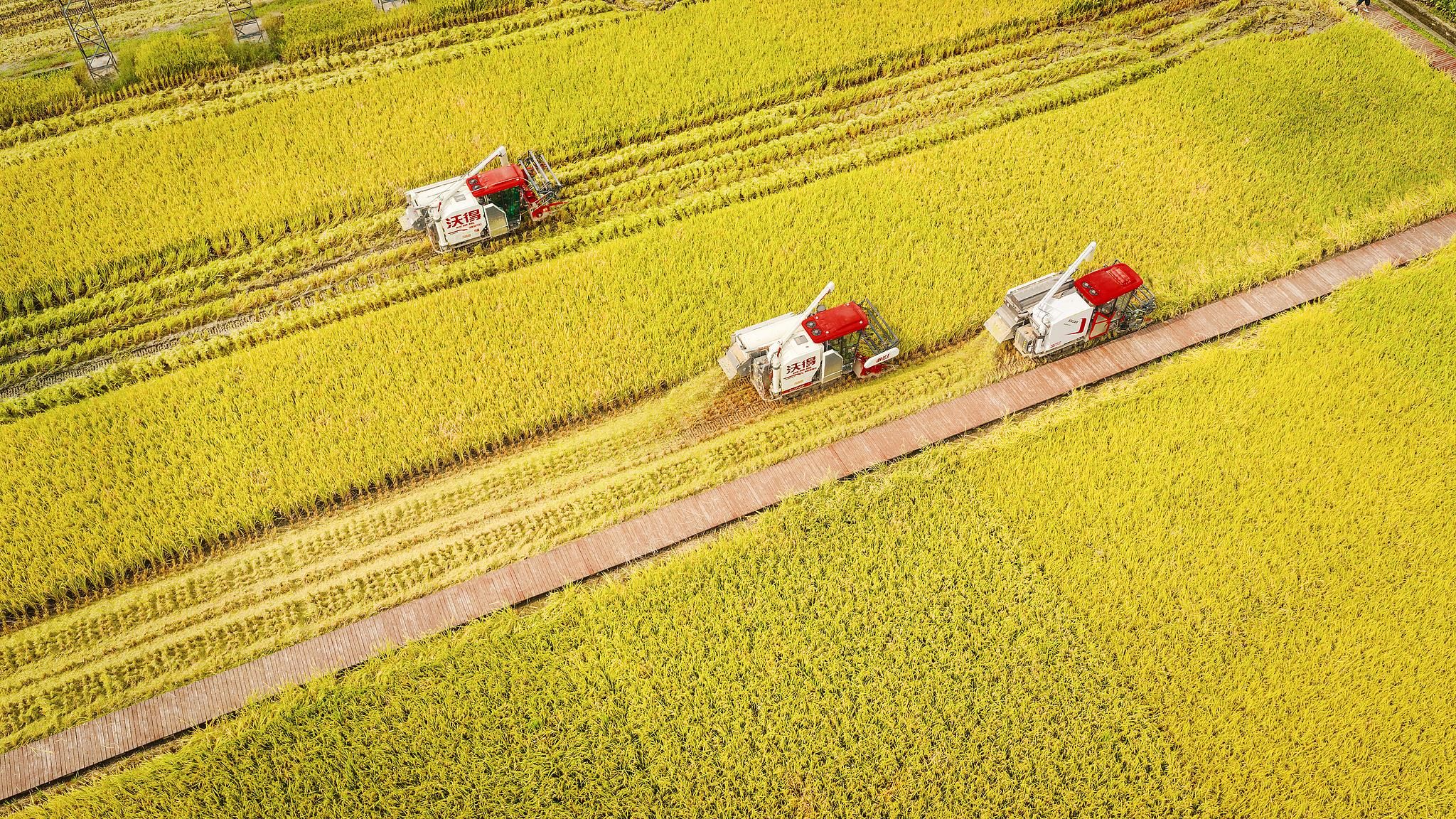 时政微观察丨非凡“十四五”，中国式现代化迈出坚实步伐