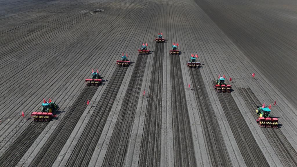 守好粮食生产的命根子!我国拟立法加强耕地保护和质量提升