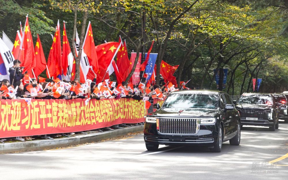 习近平抵达韩国受到热烈欢迎