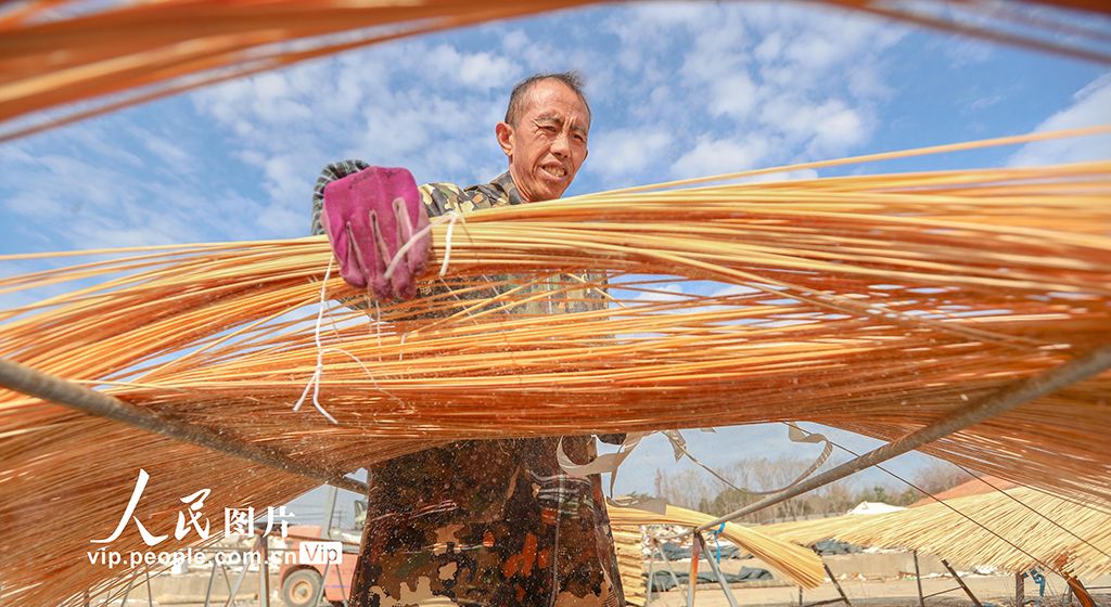 浙江长兴：竹子加工助力乡村振兴