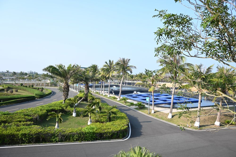 习近平总书记关切事｜攥紧中国种子