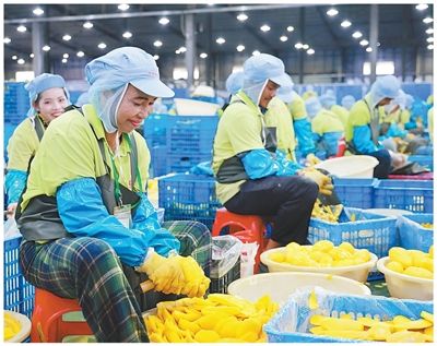 书写中国同世界各国彼此照亮、相互成就新篇章(大国外交·2025年度回眸)