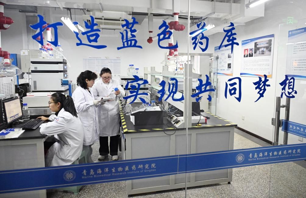 习近平总书记关切事·嘱托｜科研追光者的破壁之路