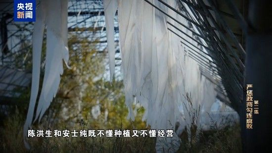 电视专题片《一步不停歇 半步不退让》第二集《严惩政商勾连腐败》