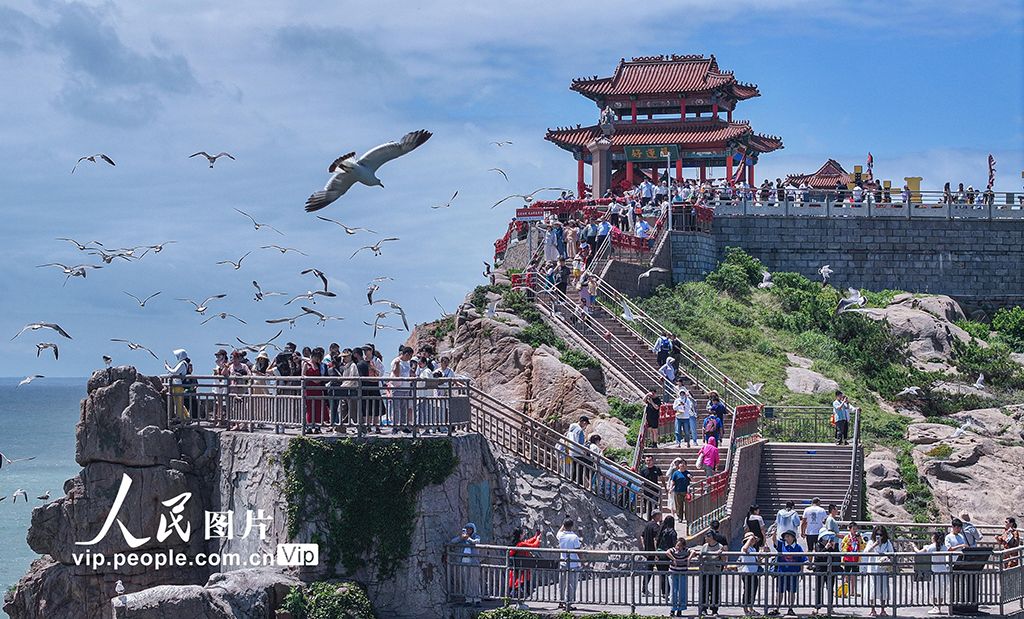 山东荣成：观海听潮 与鸥共舞