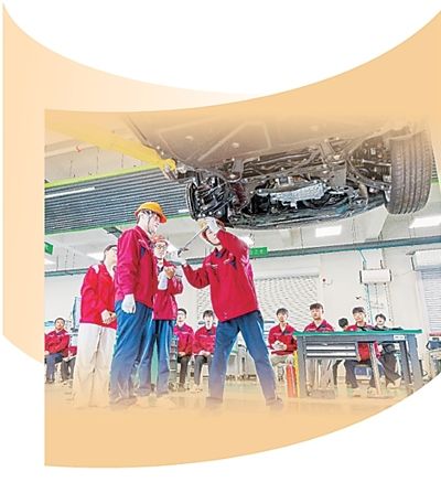 助力高校毕业生走稳就业路（校园观察@大学生）