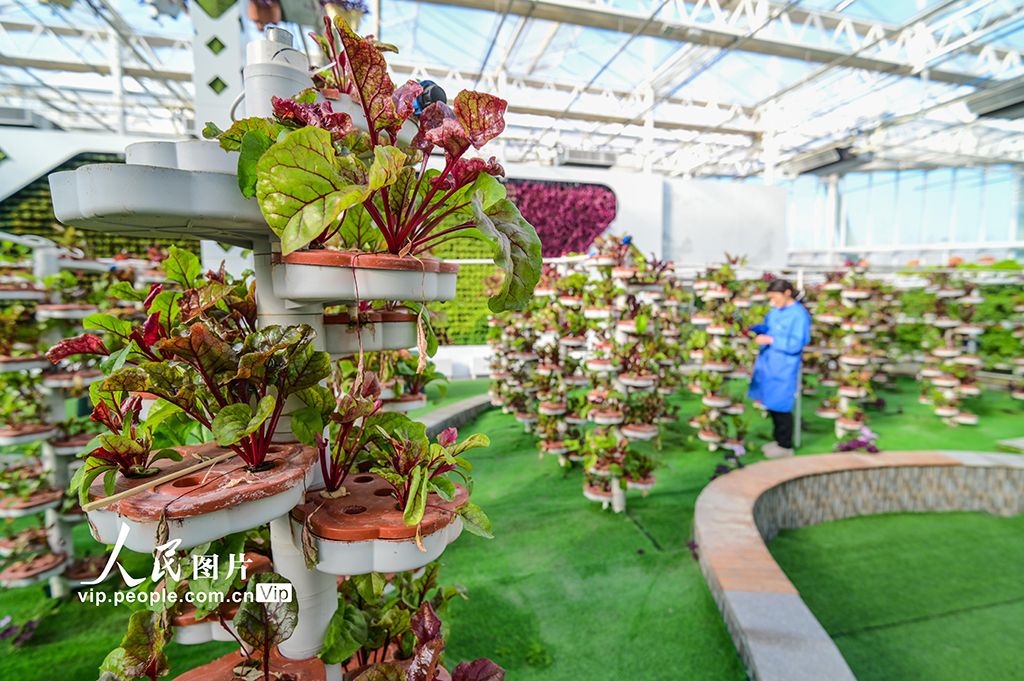 新疆昌吉：智慧农业促发展【4】