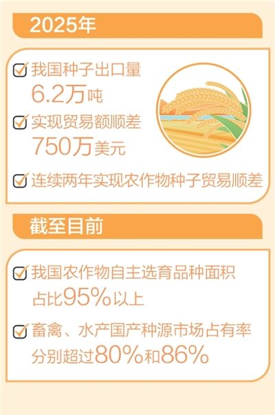 我国连续两年实现农作物种子贸易顺差  “中国粮”主要用上了“中国种”